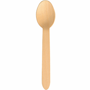 Skje gastro 16cm 100stk