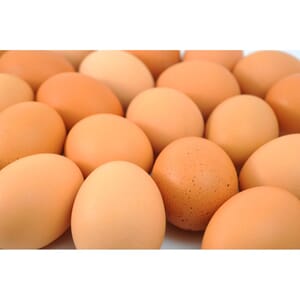 Egg M Økologisk Brett 2kg
