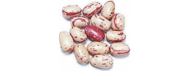 Borlotti bønner- rosecoccobønner 450 gr