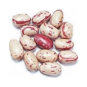 Borlotti bønner- Rosecoccobønner 450 gr