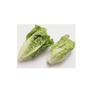 Salat Romano Grønn Stk