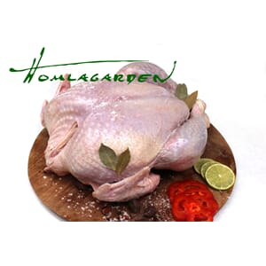 Kalkun Hel-Black Turkey Middels 5-7kg