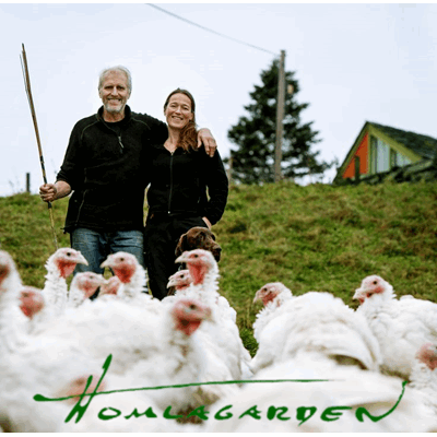 5200415 homlagarden4_1.png