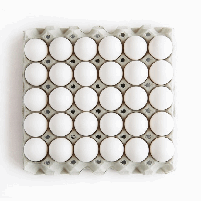Egg Medium 30 Stk